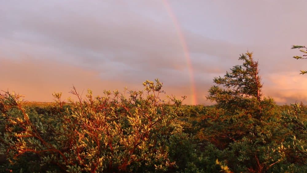 An Arctic rainbow, as seen through Allison Maria Rodriguez's video camera. (Courtesy)