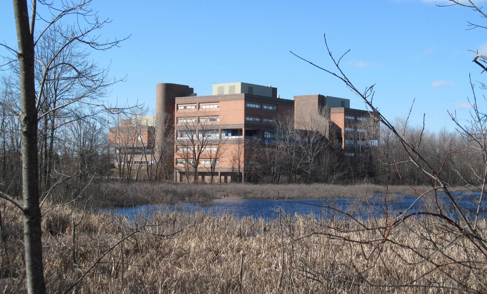 The West Roxbury Education Complex, seen from the VFW Parkway. (John Phelan/Wikimedia Commons)
