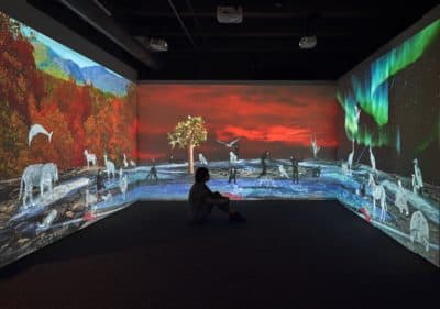 Allison Maria Rodriguez's &quot;Wish You Were Here: Greetings from the Galápagos&quot; video installation at the Boston Children's Museum. (Courtesy Stewart Clements)