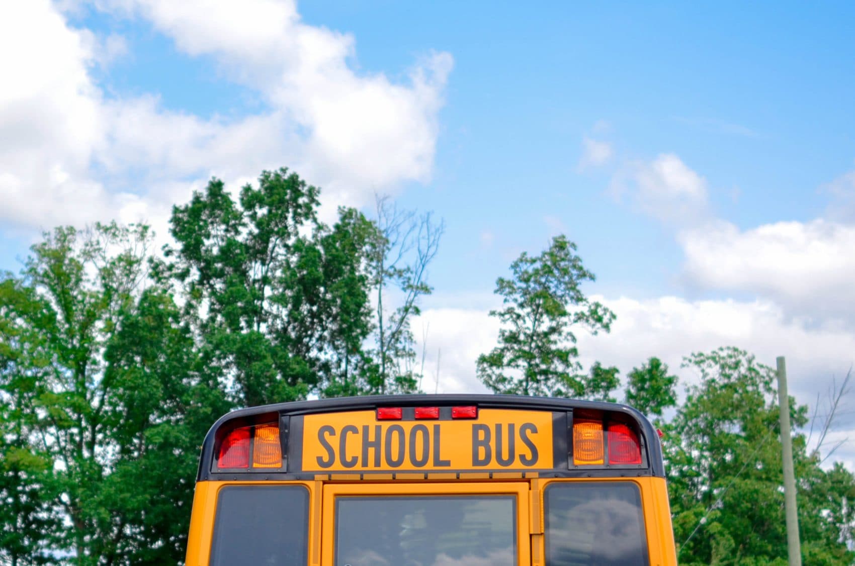 A new study of kindergarten classes shows that younger students are more likely to be diagnosed with ADHD than their older classmates. (Element5/Unsplash)