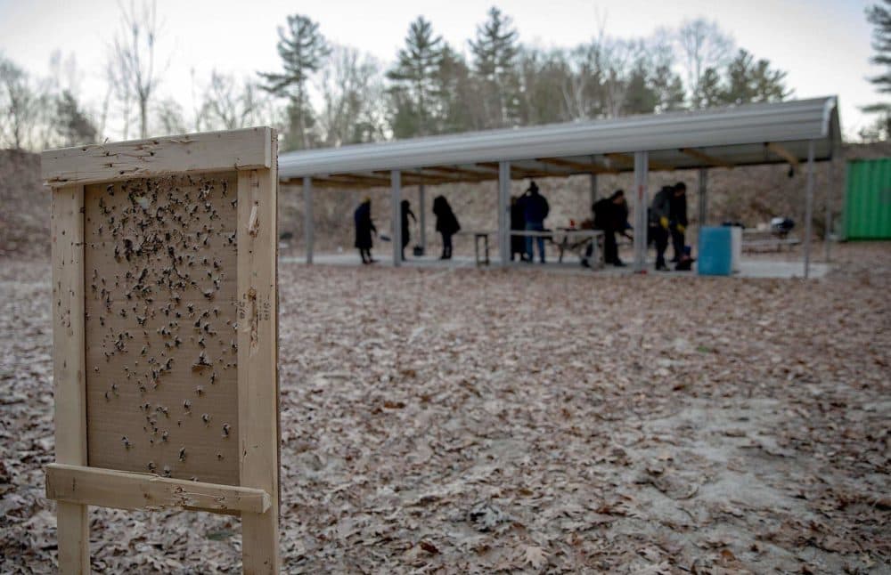 A tattered target stands at the end of a range at the Harvard Sportsmen's Club. (Robin Lubbock/WBUR)