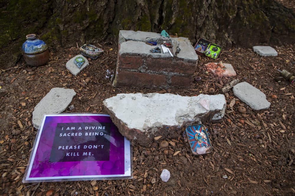 Items left at the base of the tree show opposition to its removal. (Jesse Costa/WBUR)