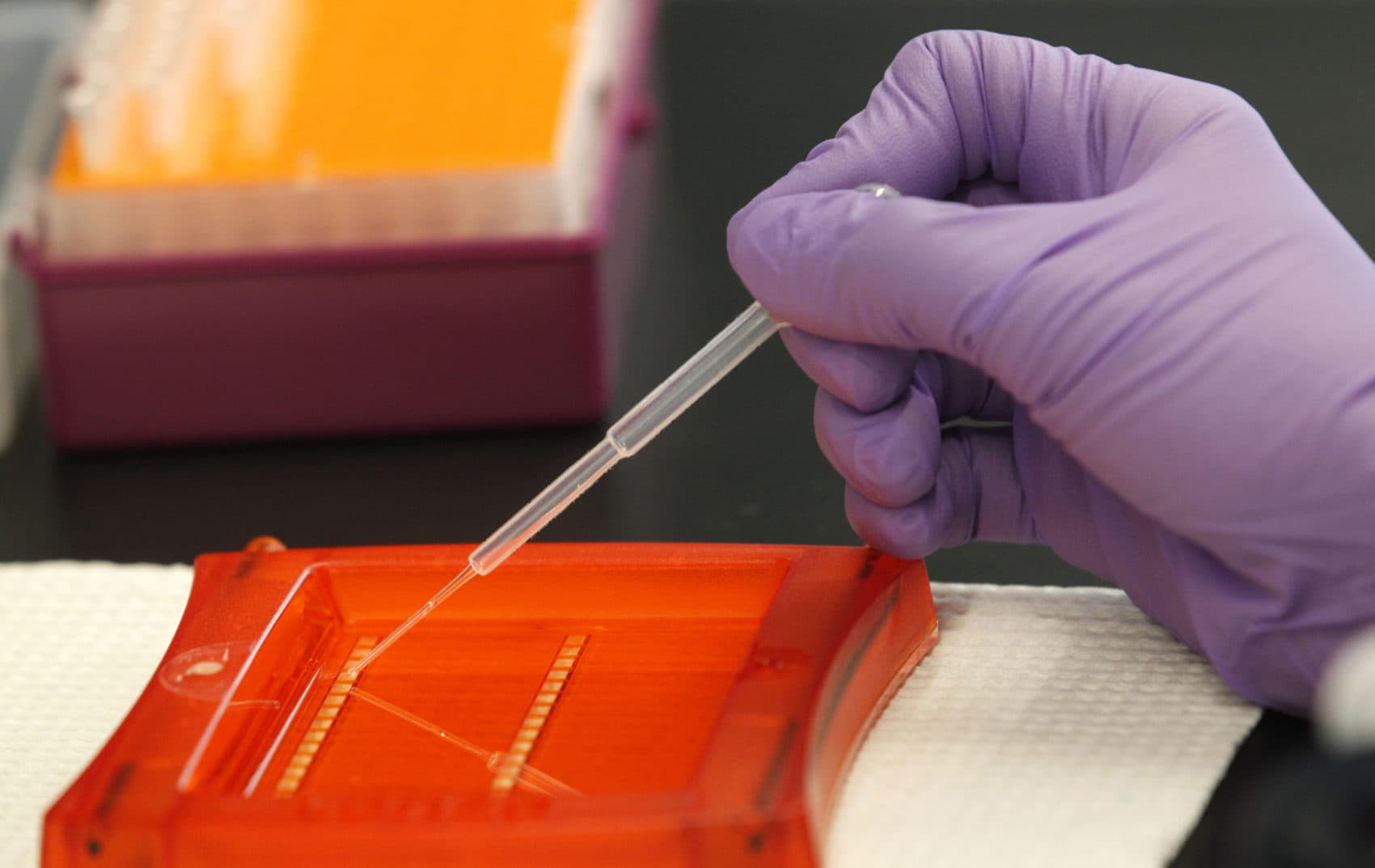 'No Part Of Me Ever Questioned My Paternity': The DNA Test That Upended Identity