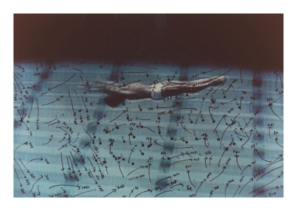 Howardena Pindell's &quot;Video Drawings: Swimming,&quot; made in 1975. (Courtesy Museum of Contemporary Art Chicago; Garth Greenan Gallery, New York)