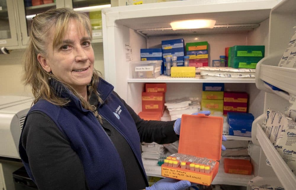 Senior scientist Roz Rolland opens a box of fecal extracts from the laboratory freezer. (Robin Lubbock/WBUR)