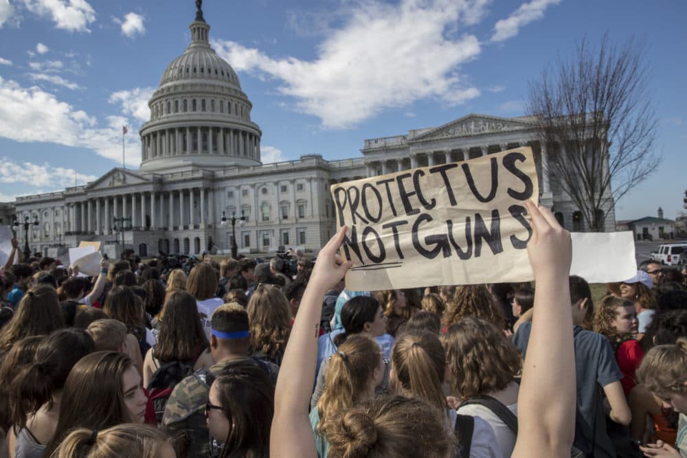 School students from Montgomery County, Md., in suburban Washington, rally in solidarity with those affected by the shooting at Parkland High School in Florida, at the Capitol in Washington, Wednesday, Feb. 21, 2018. (J. Scott Applewhite/AP)