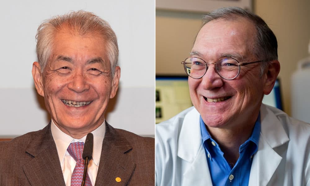 Tasuku Honjo, left, and Gordon Freeman (Courtesy (courtesy Bengt Nyman/Flickr and Dana-Farber Cancer Institute)