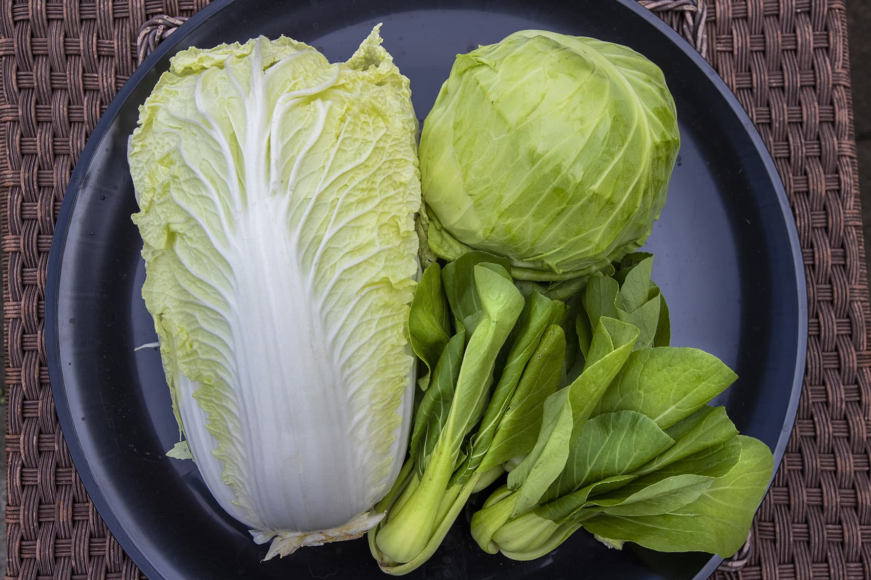 Here & Now resident chef Kathy Gunst says cabbage is inexpensive, good for you and can be used in a wide variety of ways. (Jesse Costa/WBUR)