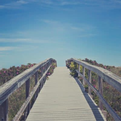 Dreaming Of Summer At Winter's End