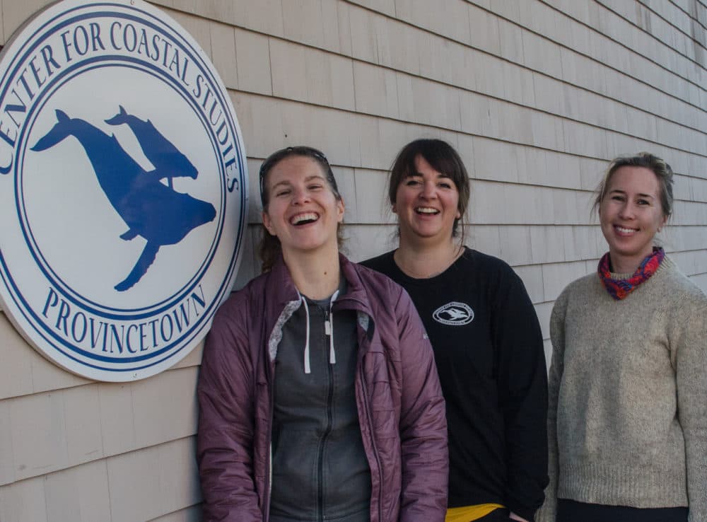 Christy Hudak, Amy James and Brigid McKenna outside the Center for Coastal Studies Office in Provincetown (Sharon Brody/WBUR)