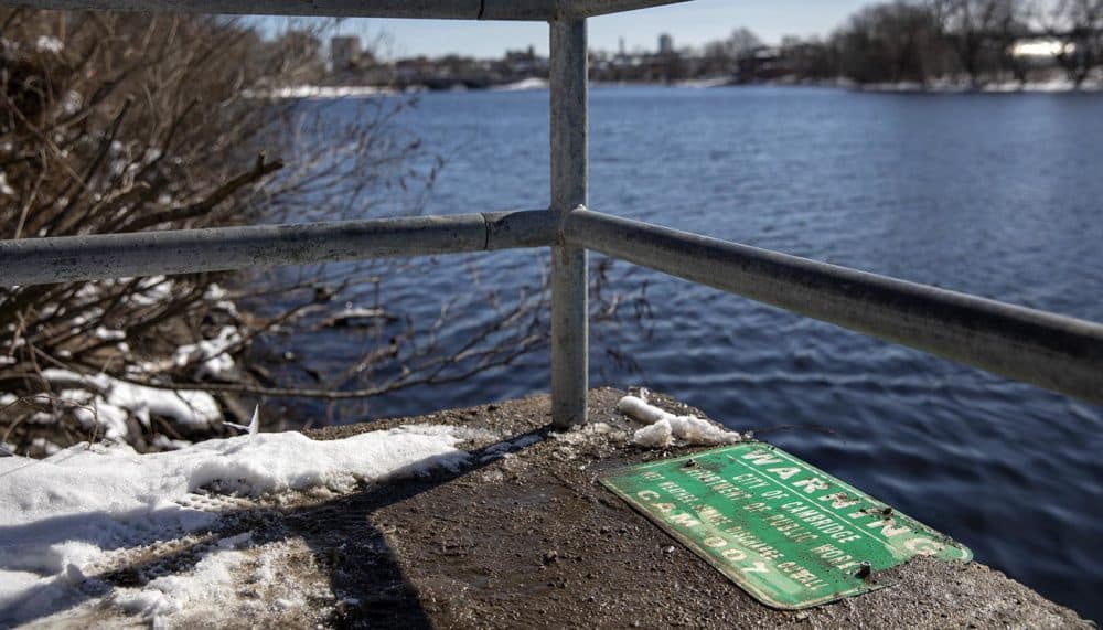 Cambridge's wet weather sewage discharge outfall CAM007 on the Charles River (Robin Lubbock/WBUR)