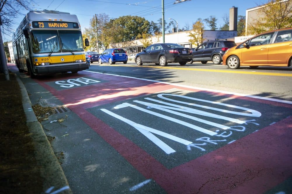 An MBTA 73 bus bound for Harvard Square travels through the red painted lane restricted for buses and bicycles on Mt. Auburn Street at the Cambridge/Watertown line. (Jesse Costa/WBUR)