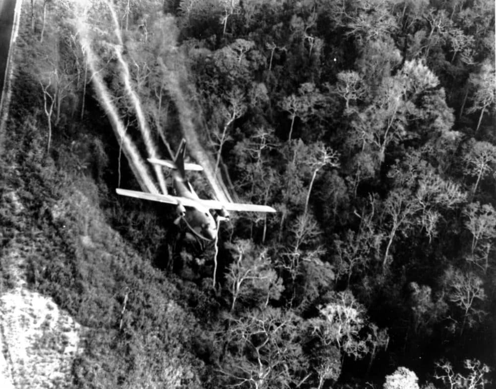During the Vietnam War, Air Force C-123 planes sprayed millions of gallons of herbicides, known as Agent Orange, over the jungles of Southeast Asia to destroy enemy crops and tree cover. (Department of Defense/AP/File)