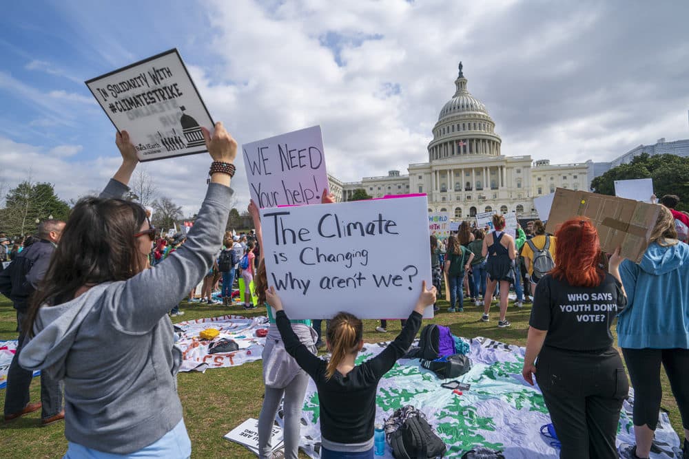 Young demonstrators join the International Youth Climate Strike event at the Capitol in Washington, D.C., on March 15, 2019. (J. Scott Applewhite/AP)
