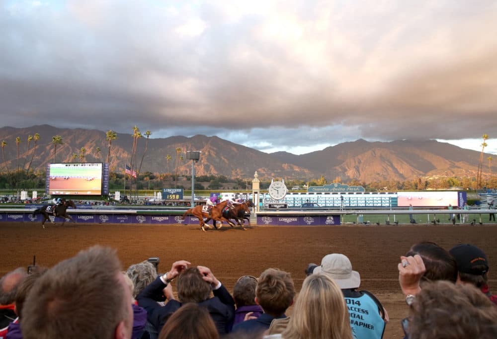 Attendees react as Bayern wins the classic at day two of the 2014 Breeders' Cup World Championships at Santa Anita Park in Arcadia, Calif. (Matt Sayles/AP)