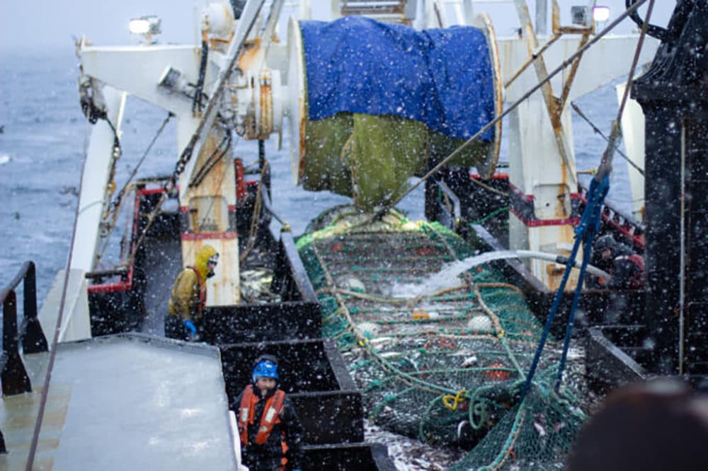 Crew members on the fishing vessel Commodore empty a trawl net of pollock on the Bering Sea in January. (Nathaniel Herz/Alaska’s Energy Desk)