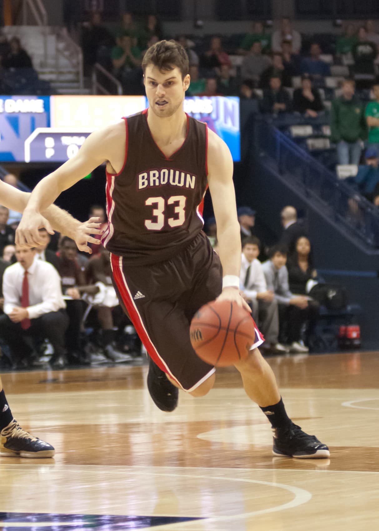 Tucker halpern basketball