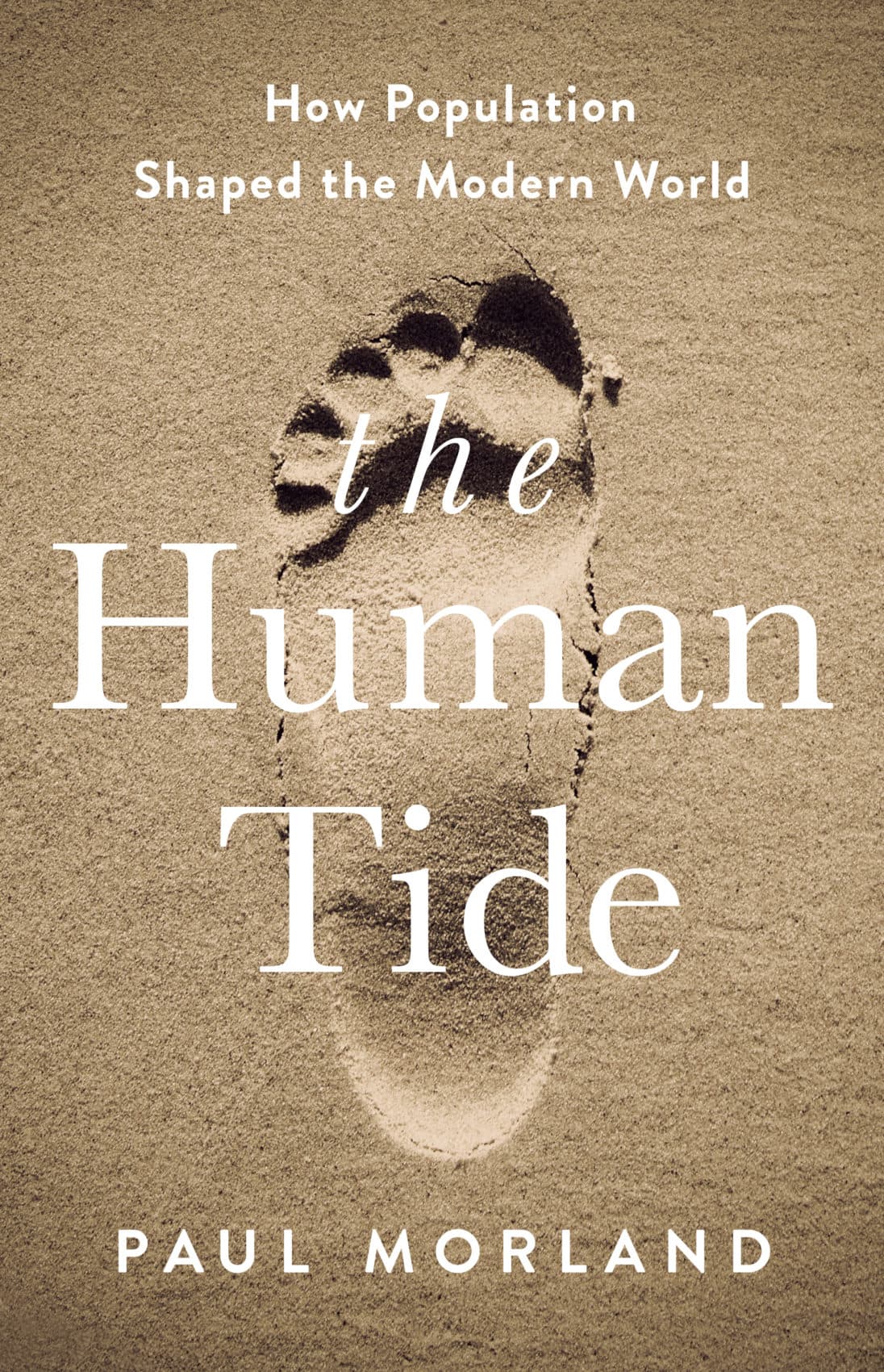  Rising Tide Startups : Rising Tide : Audible Books