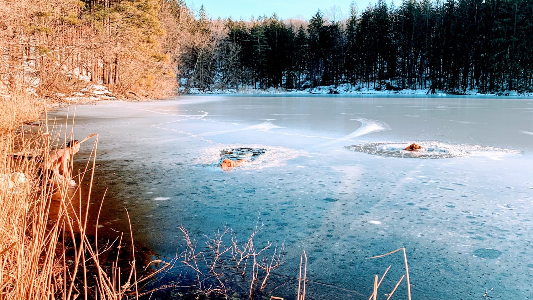 Озеро тоня. Замерзший водоем.