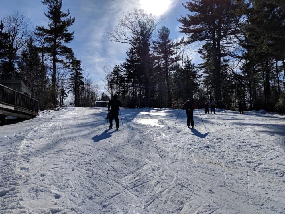 Cross-country skiers take advantage of great conditions — which have been rare this winter — at Windblown Cross Country Skiing and Snowshoeing in New Hampshire in late February. (Annie Ropeik/NHPR)