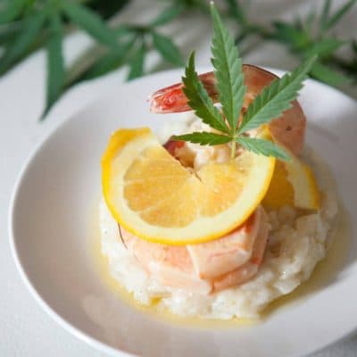 Created by Mass Cannabis Chefs, this plate features a poached shrimp in spicy butter, presented with citrus risotto. (Courtesy)