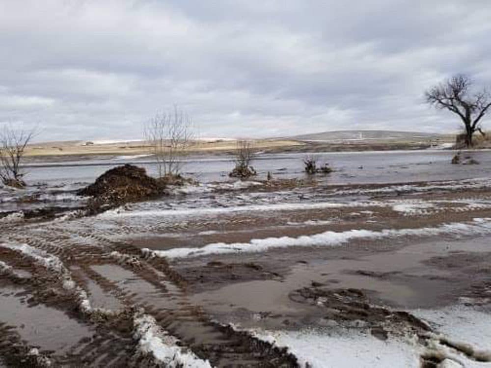 Annette Bloom's farm in Nebraska during the historic floods. (Courtesy of Annette Bloom)