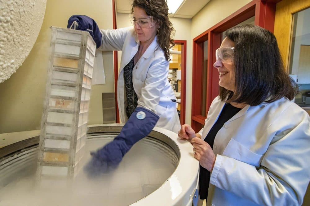 Arlene Sharpe, right, watches as Graduate Student Emily Gaudiano removes a rack of samples of cancer cell lines from mice from a freezer at the Sharpe Laboratory at Harvard Medical School. (Jesse Costa/WBUR)