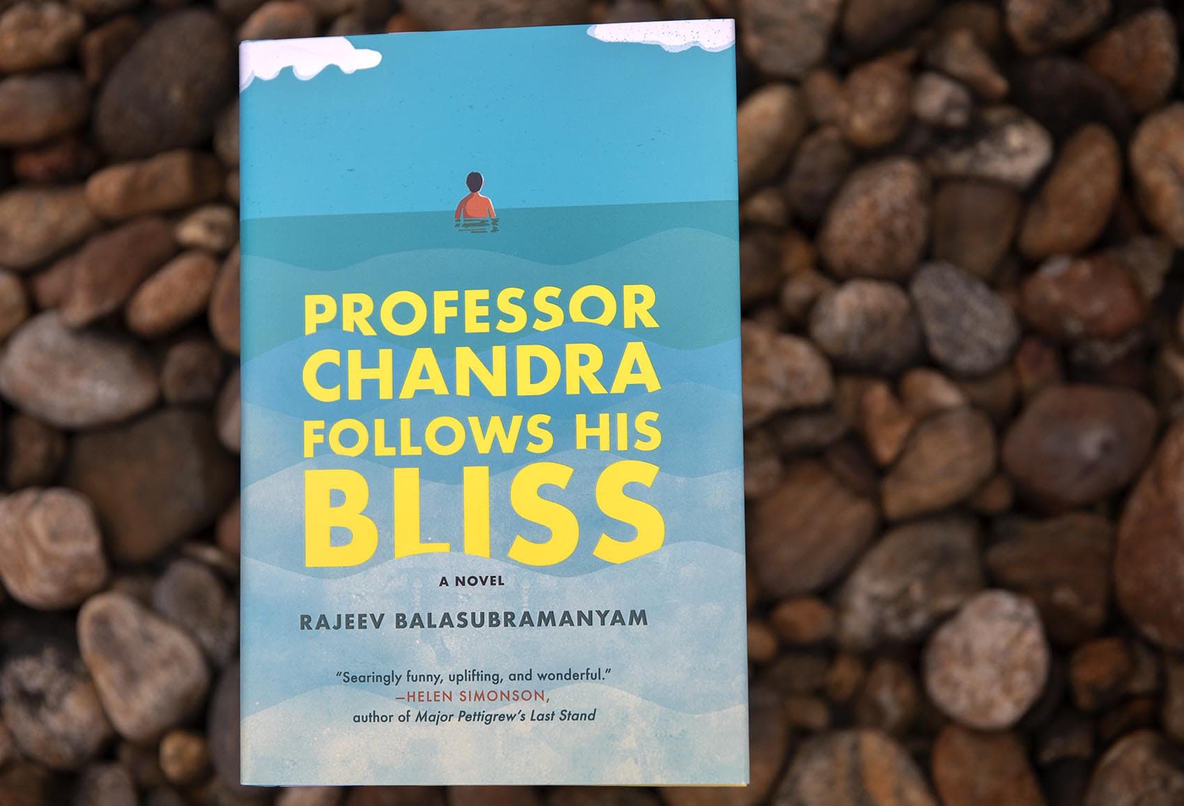 "Professor Chandra Follows His Bliss," by Rajeev Balasubramanyam. (Robin Lubbock/WBUR)