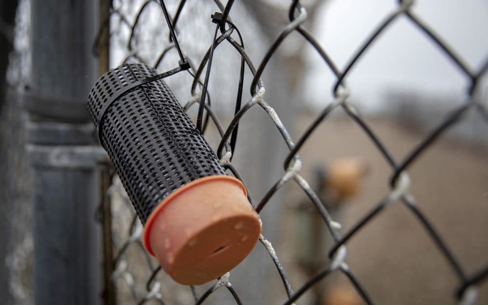 Thermoluminescent dosimeters (TLDs) placed on fences around the Pilgrim reactor building contain tags that monitor radiation. (Robin Lubbock/WBUR)
