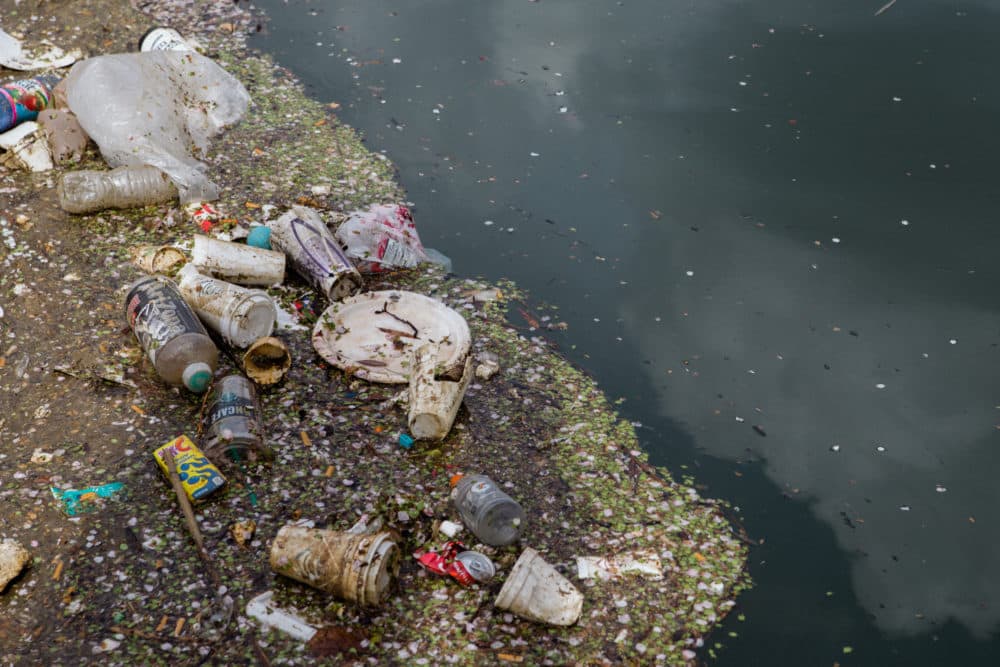 Trash floating in Baltimore's Inner Harbor is contained and funneled to the mouth of Mr. Trash Wheel. (Rosem Morton for Here &amp; Now)