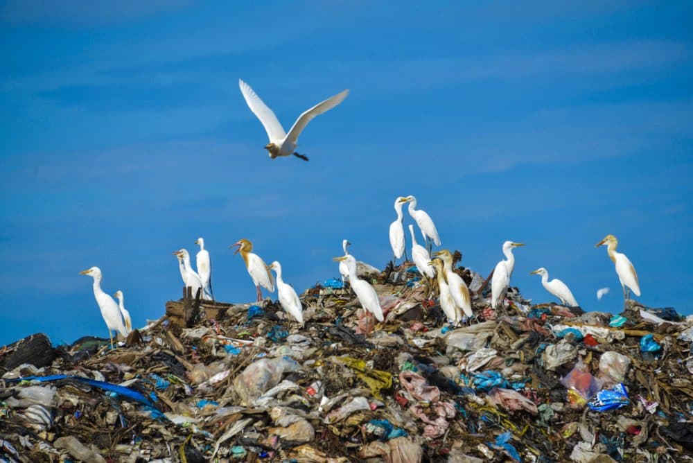 New Report Reveals Plastic Waste Crisis In Southeast Asia | Here & Now