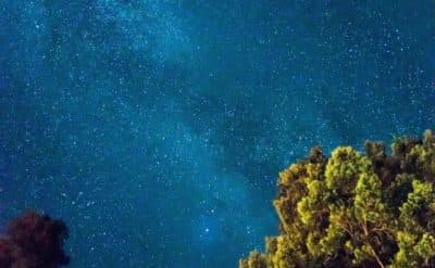 'Flaming Out Like Dreams At Dawn': Verses From A Somerville Poet