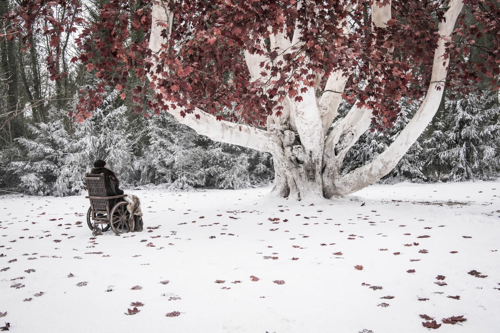 Isaac Hempstead Wright in "Game Of Thrones." (Helen Sloan/HBO)