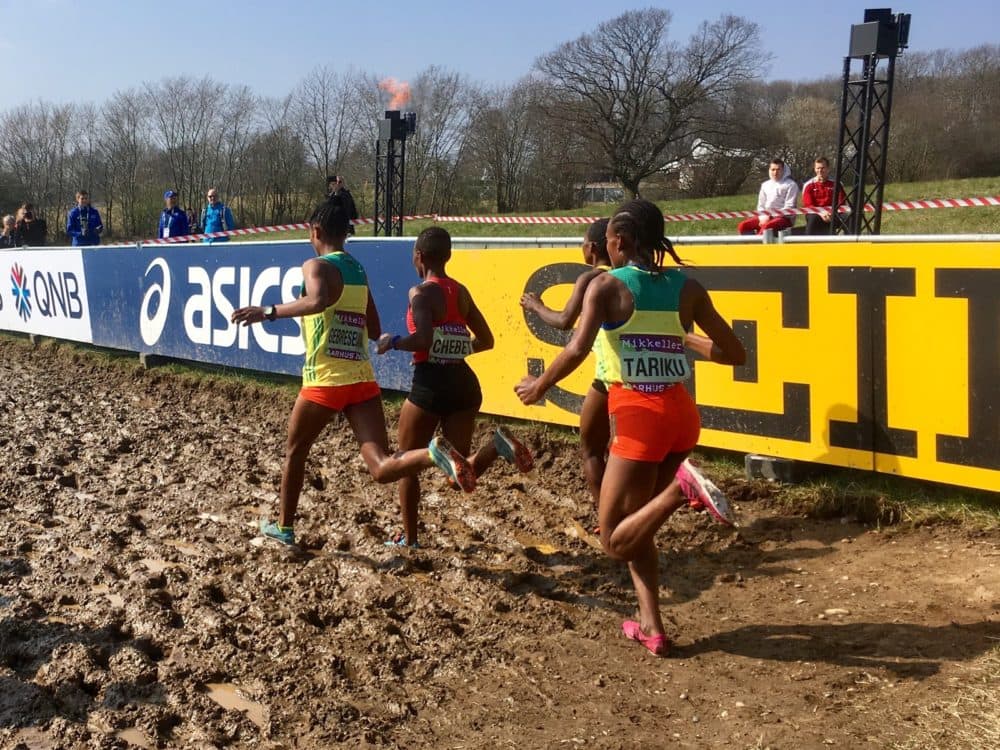 Runners sprint through mud at the International Association of Athletics Federations World Cross Country Championship in Denmark. (Alex Ashlock/Here &amp; Now)