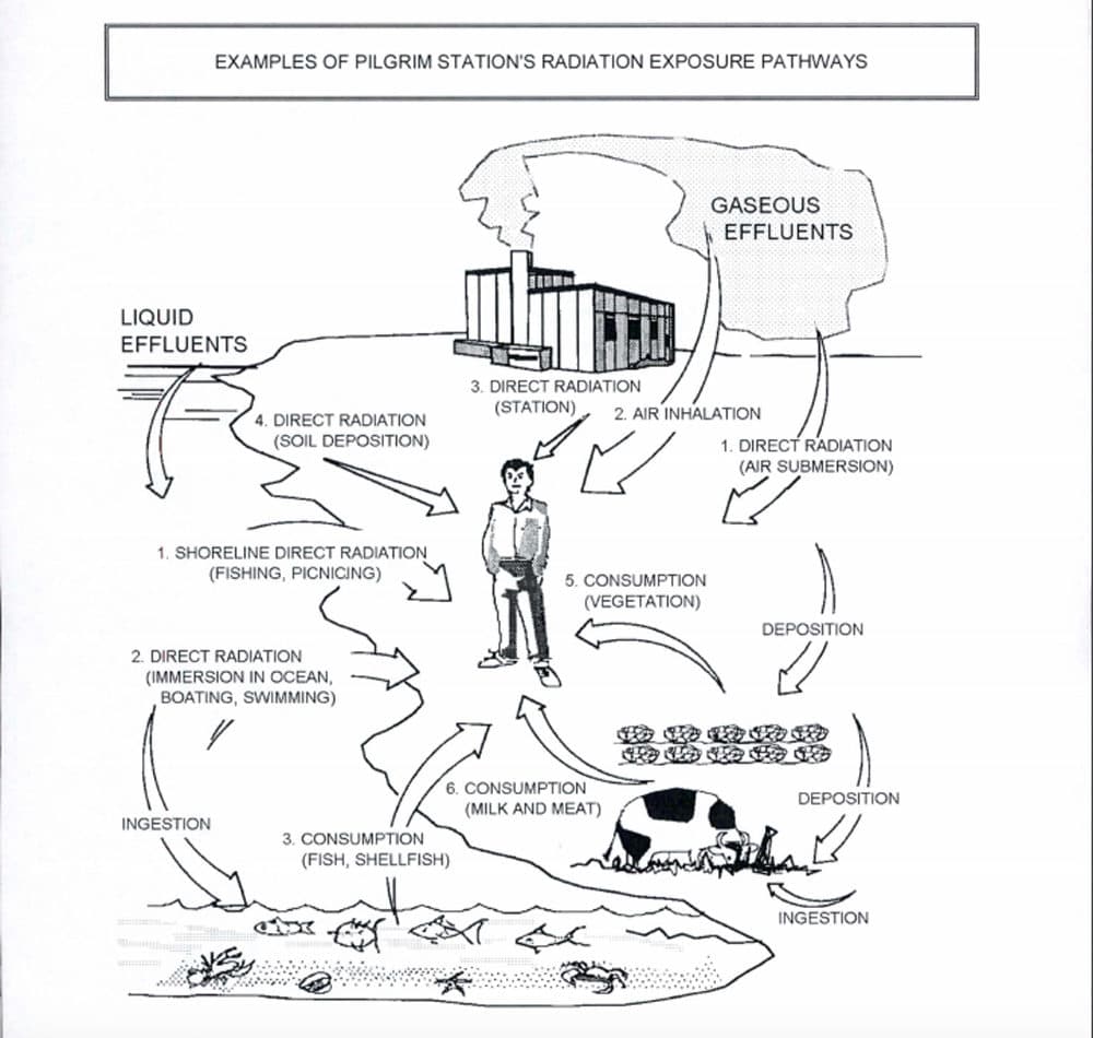 A graphic explaining radiation pathways. (Created by Entergy and submitted to the NRC)