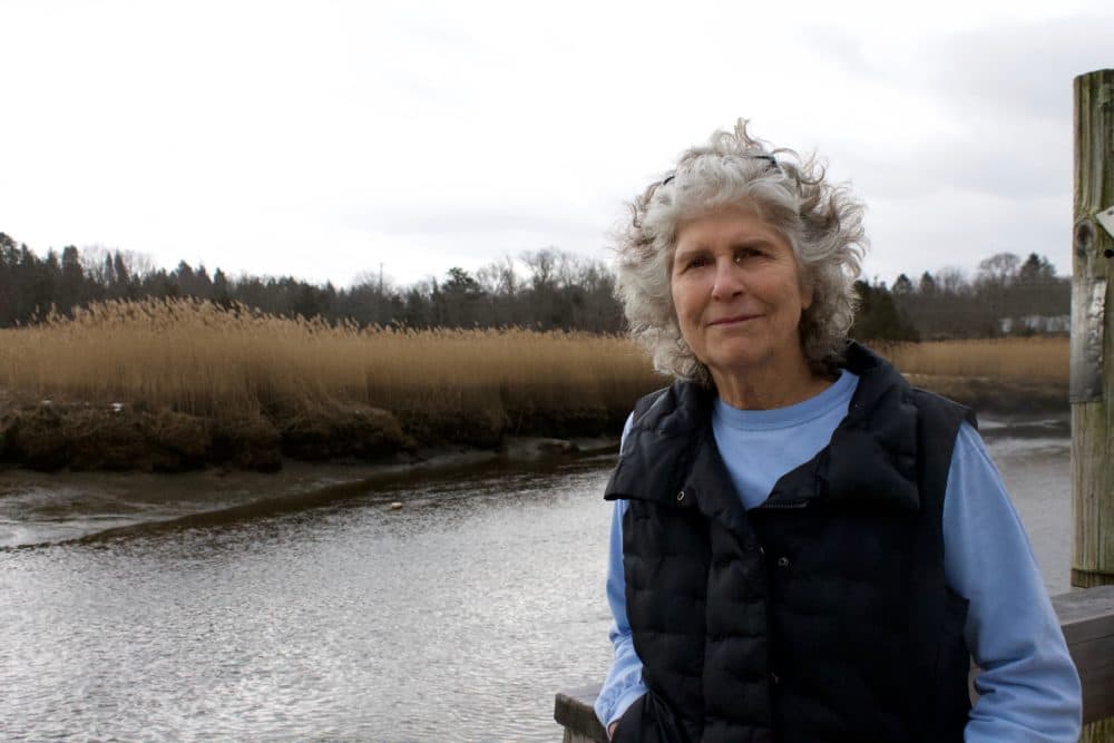 Pine duBois stands by the Jones River. (Miriam Wasser/WBUR)