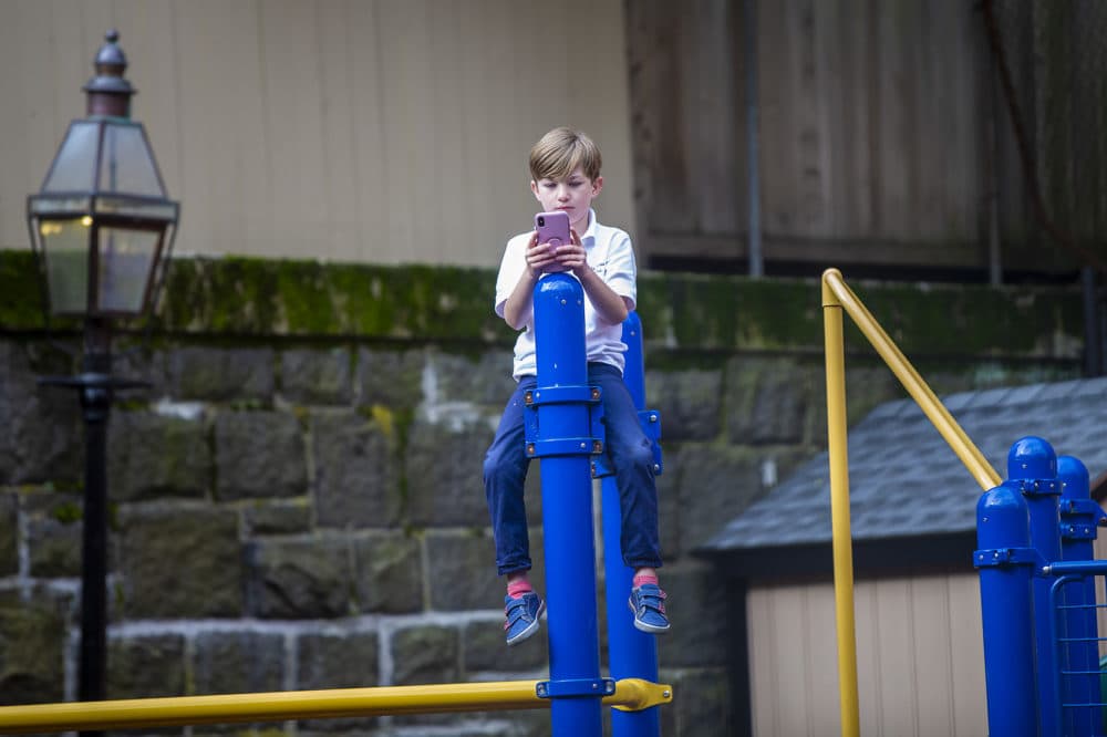 Hutch Walsh looks at a cellphone while on top of a climbing structure at the playground awaiting the unveiling of the &quot;Myrtle The Turtle&quot; statue. (Jesse Costa/WBUR)