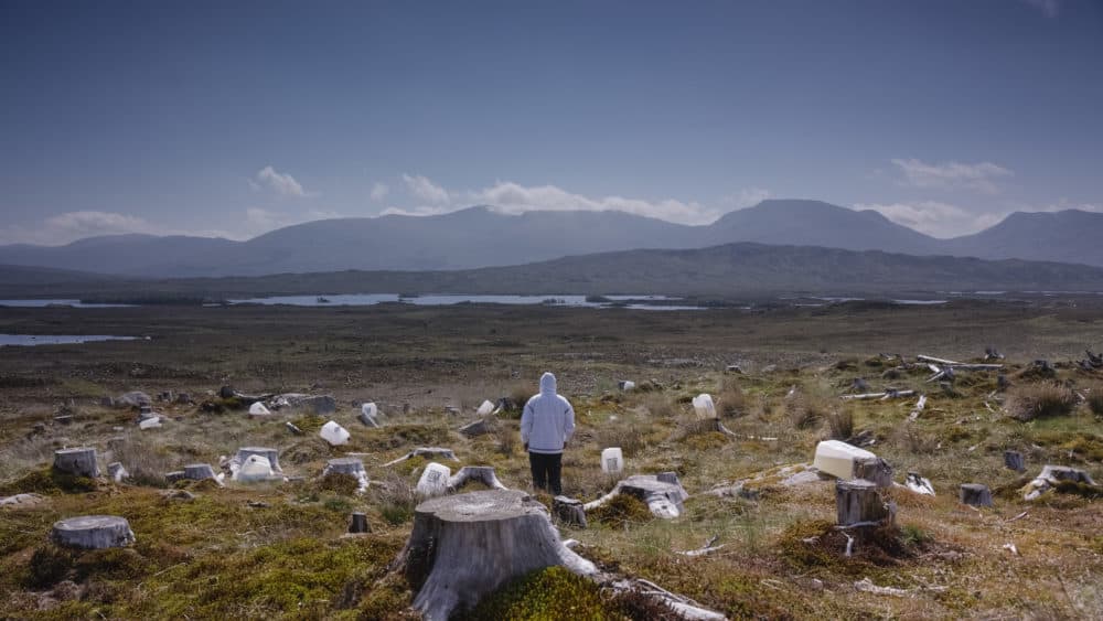 A still from John Akomfrah's &quot;Purple,&quot; now on display at the ICA Watershed. (Courtesy Smoking Dogs Films)