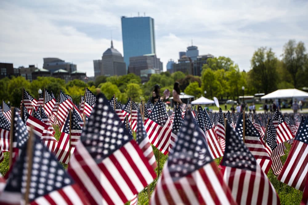 More than 37,000 American flags are planted at the Boston Common. (Jesse Costa/WBUR)