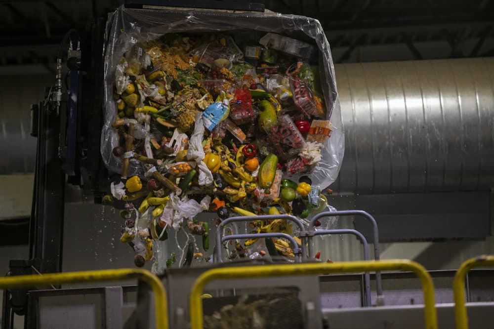 A bin of discarded food from a Stop & Shop store being dumped into a machine that processes the food and feeds it into an anaerobic digester at the Stop & Shop Distribution Center in Freetown (Jesse Costa/WBUR)