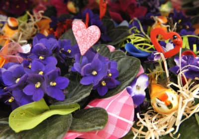 Double Play: Bill Plaschke's Mother's Day Tribute