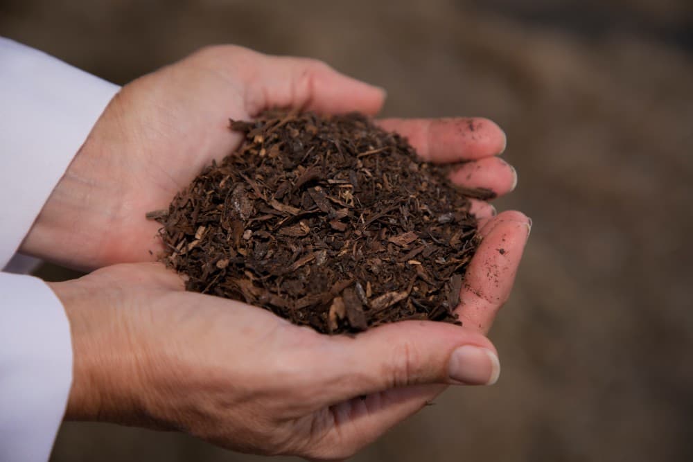 Finished material from human composting. (Courtesy Washington State University)
