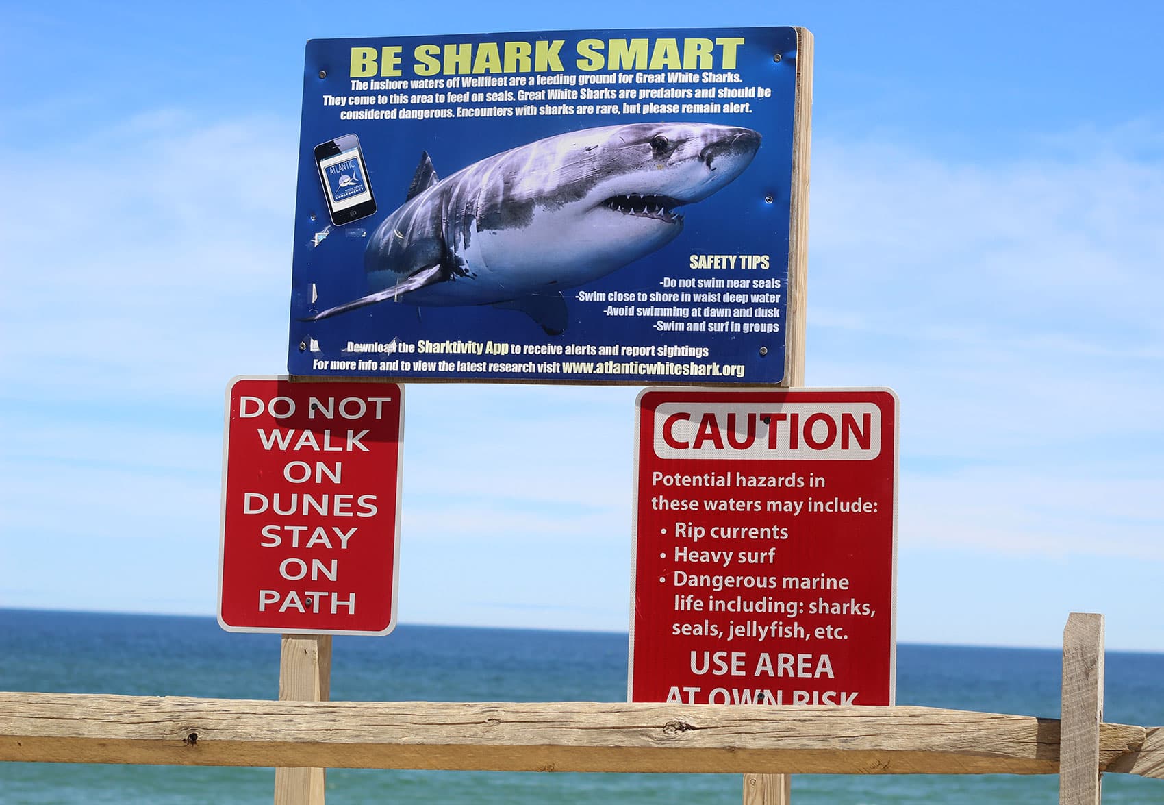 A shark public awareness sign posted at Newcomb Hollow Beach in Wellfleet, Mass. (Quincy Walters/WBUR)