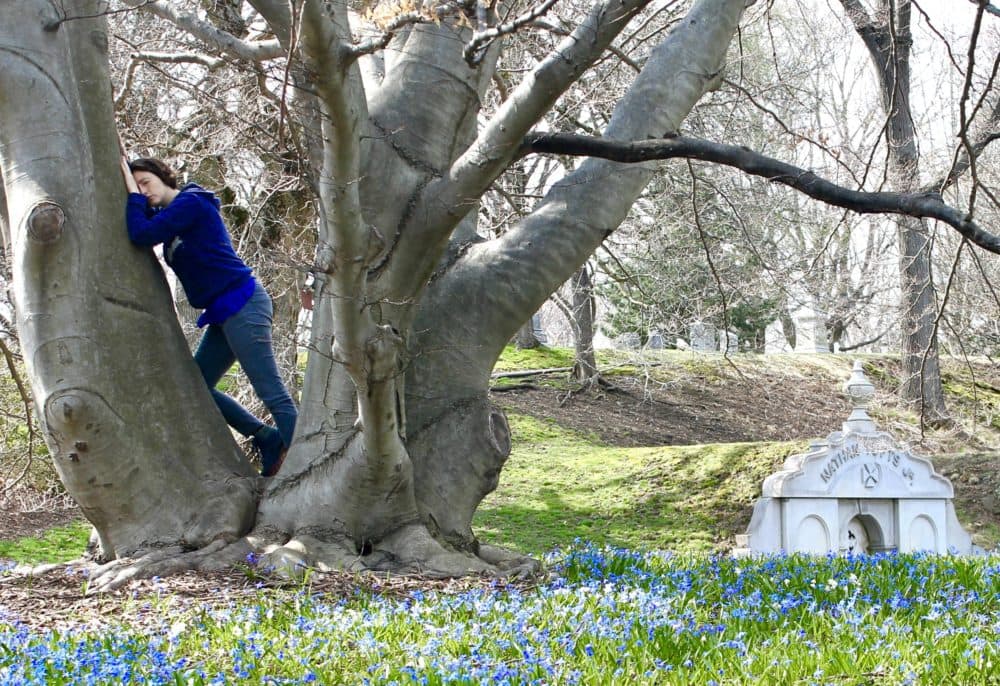 A scene from 'Love and Loss In the Glade' from 'The Nature Plays'. (Courtesy Courtney O'Connell)