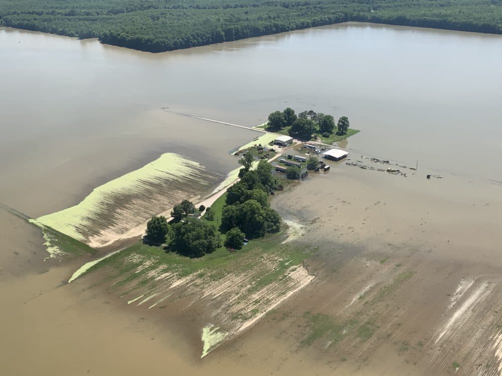 Some farmers in the Mississippi Delta haven't planted a single crop this year because of the floods. (Courtesy of Victoria Darden)