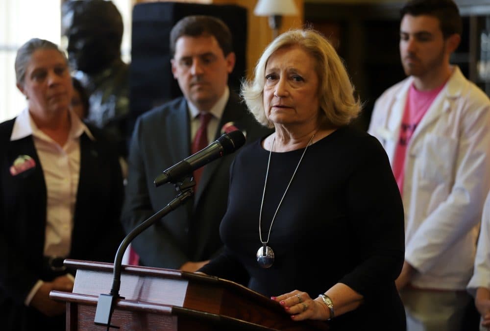 &quot;This is not something that any of us takes lightly,&quot; House Speaker Pro Tempore Pat Haddad said at a press conference organized by supporters of the bill prior to the hearing. (Sam Doran/SHNS)