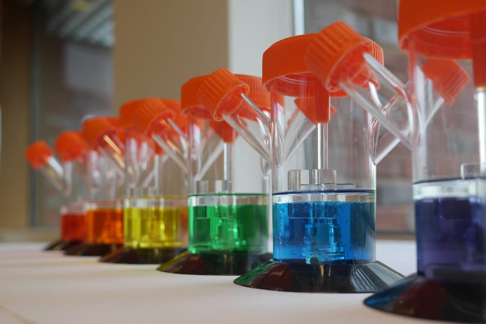 Each of these containers represents one of the major steps in Doug Melton's recipe for making human beta cells from multi-purpose stem cells. (Courtesy Mary Bergman/Harvard University)