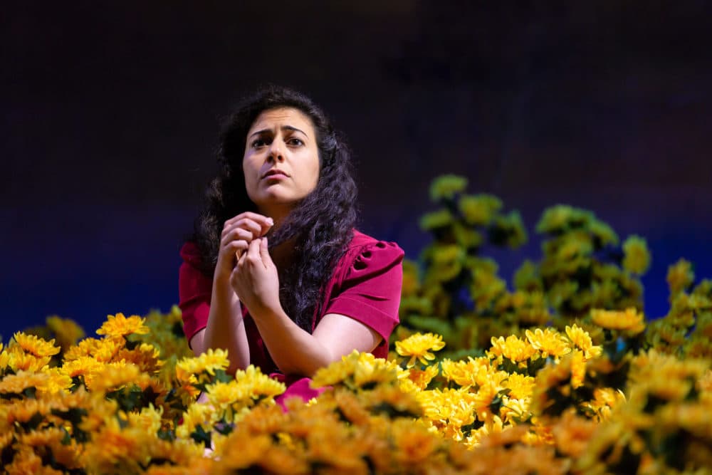 Nadine Malouf in &quot;Yerma&quot; by the Huntington Theatre Company. (Courtesy T. Charles Erickson)