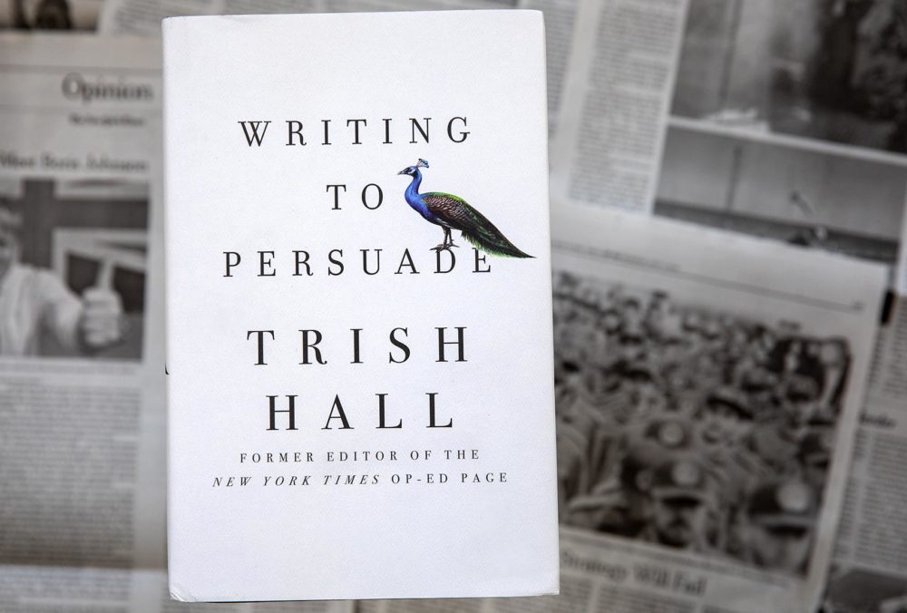 &quot;Writing To Persuade&quot; by Trish Hall. (Robin Lubbock/WBUR)