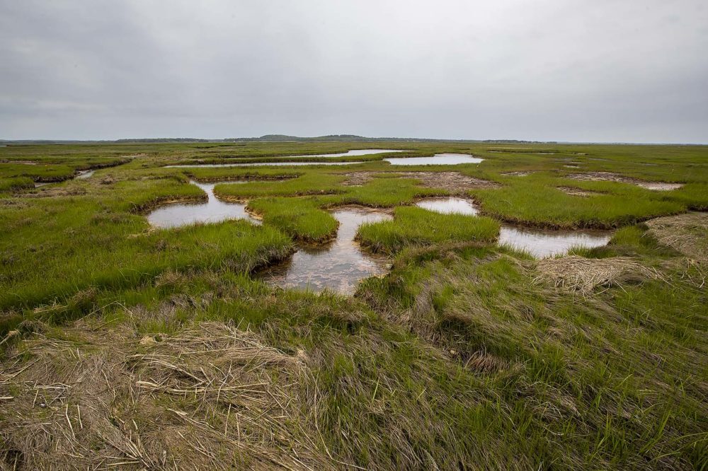 Mass. organizations receive $4 million for coastal resilience projects - Vimarsana News